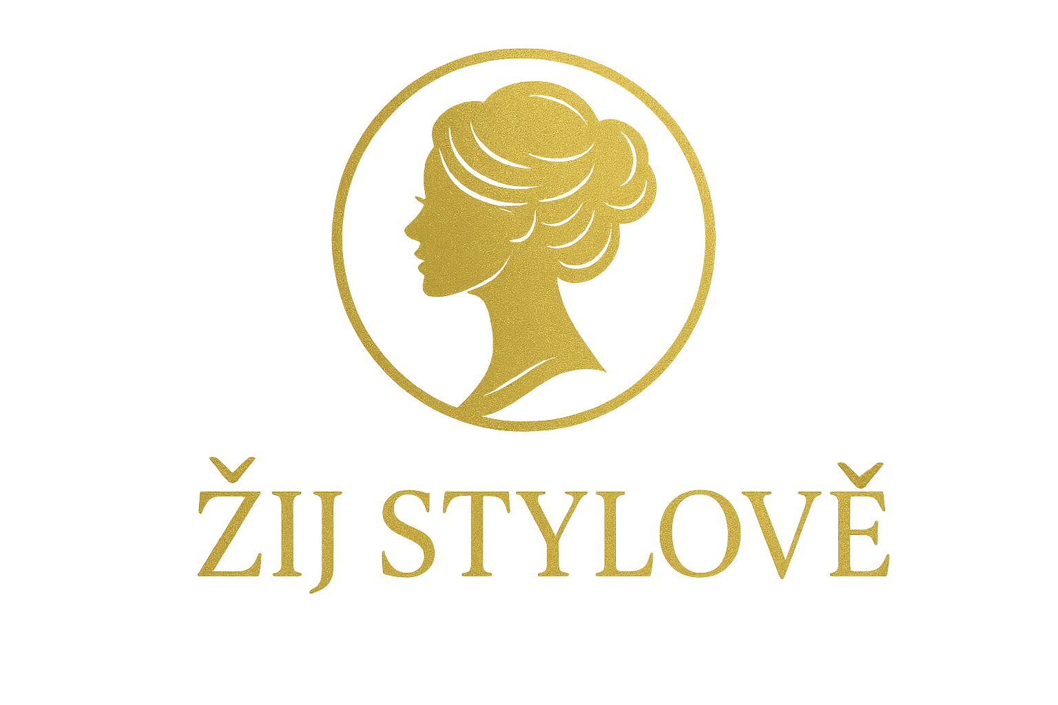 logo3